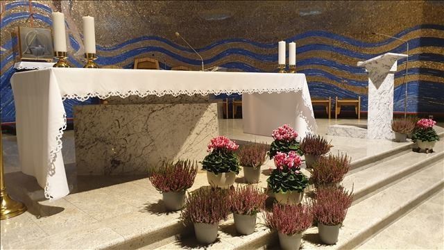 Intencje Mszalne 7 – 14 września 2025